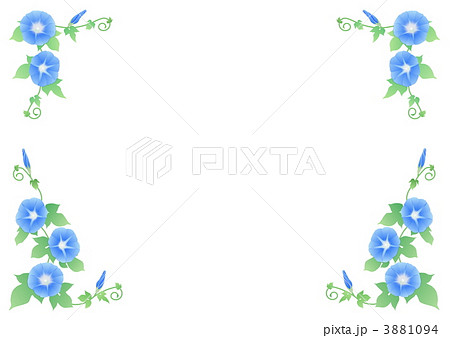 水色の朝顔 3881094