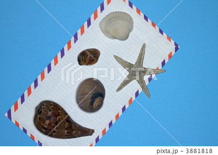 海のエアメール 海のエアメール 3881818