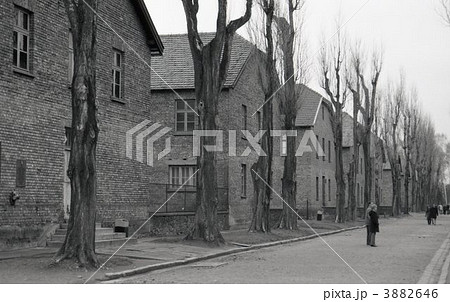 アウシュビッツ 3882646