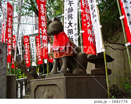 キツネの石像(王子稲荷神社/東京都北区岸町) キツネの石像(王子稲荷神社/東京都北区岸町) 3882776