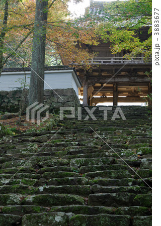 高源寺参道石段　 3883677