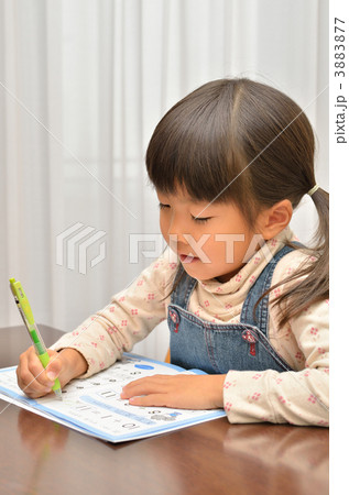 勉強する女の子 勉強する女の子 3883877
