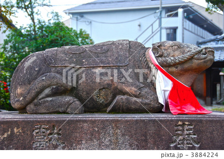 「臥牛」の像（北野天満宮／京都市上京区） 3884224