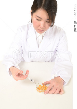 研究イメージ 研究イメージ 3884300