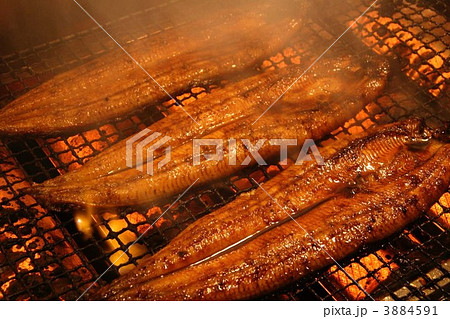 うなぎ蒲焼 うなぎ蒲焼 3884591