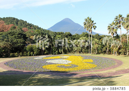 フラワーパークかごしまからの開聞岳 3884785