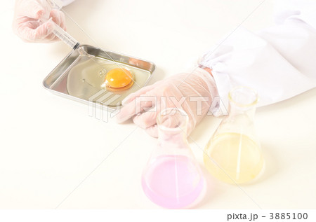 研究イメージ 研究イメージ 3885100