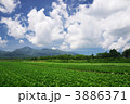 八ヶ岳と高原野菜 3886371