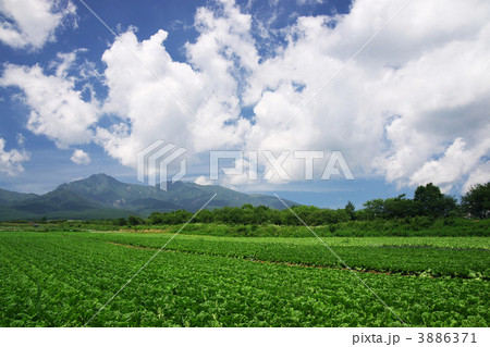 八ヶ岳と高原野菜 3886371