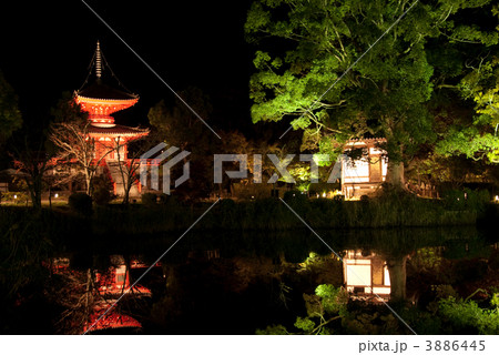 大覚寺ライトアップ 3886445