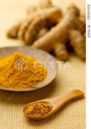 秋ウコン 3886468