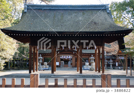 豊国神社　拝殿から見た本殿 3886822