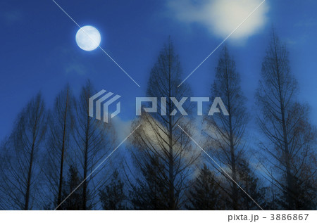 月と樹木 3886867