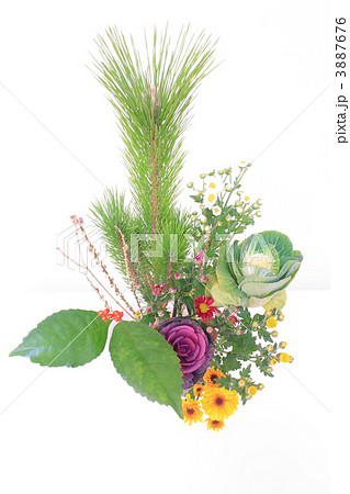 お正月の生け花 お正月の生け花 3887676