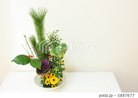 お正月の生け花 お正月の生け花 3887677