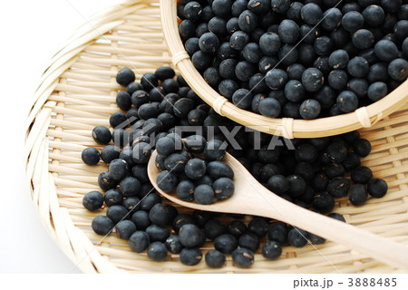黒豆 3888485