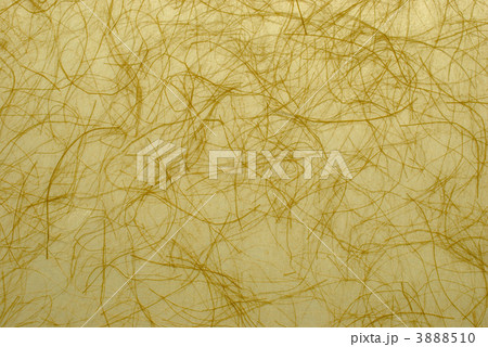 和紙 和紙 3888510