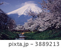 富士山と桜 3889213