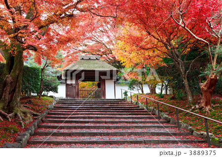 安楽寺 3889375