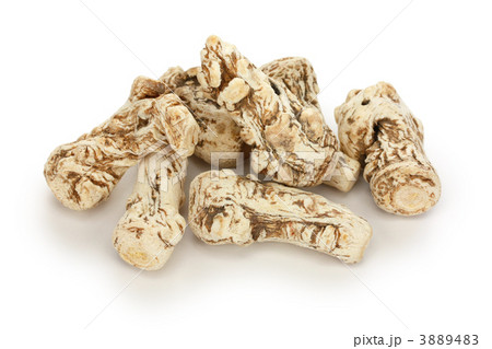 当帰(トウキ) 3889483