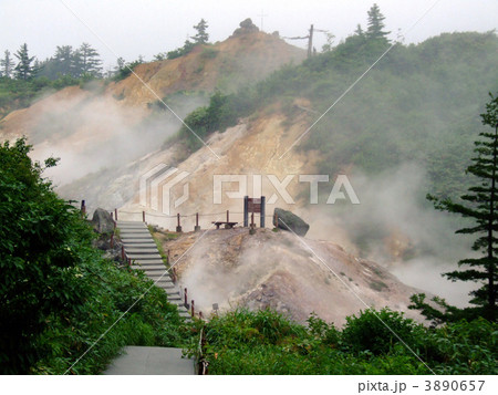後生掛自然研究路 3890657