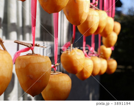 ごろごろシリーズ　柿 3891194