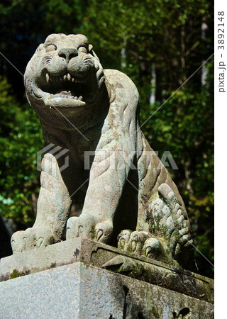 「阿吽の虎(阿形)」の石像(鞍馬寺/京都市左京区鞍馬本町) 「阿吽の虎(阿形)」の石像(鞍馬寺/京都市左京区鞍馬本町) 3892148