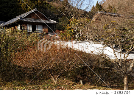 岡山市指定重要文化財 河原邸 岡山市指定重要文化財 河原邸 3892734