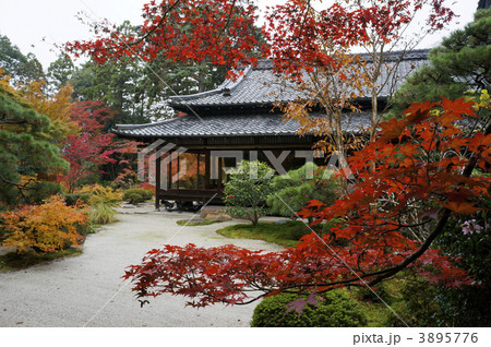 紅葉の南禅寺天授庵 紅葉の南禅寺天授庵 3895776