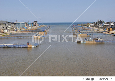 シロウオ漁 3895917