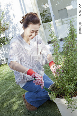 鉢の植え替えをする女性 鉢の植え替えをする女性 3896122