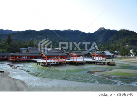 厳島神社 3896940