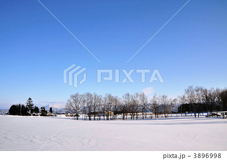 北海道の雪原と木々 3896998