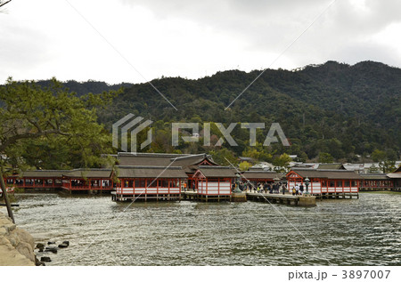 厳島神社 厳島神社 3897007