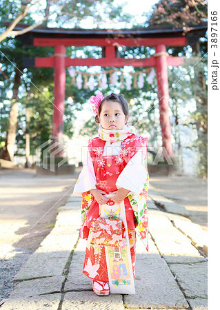 着物姿の3歳児(七五三) 着物姿の3歳児(七五三) 3897166