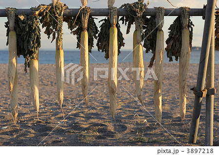 干し大根 3897218