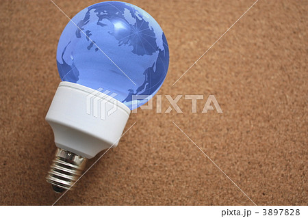 地球型電球 3897828