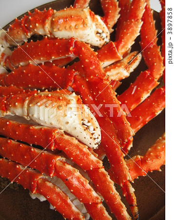 タラバガニ タラバガニ 3897858