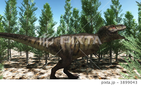 恐竜 古代 自然のイラスト素材