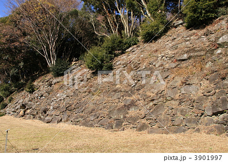 石垣山城・南曲輪石垣 3901997