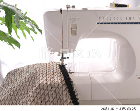 ミシン掛け ミシン掛け 3903850