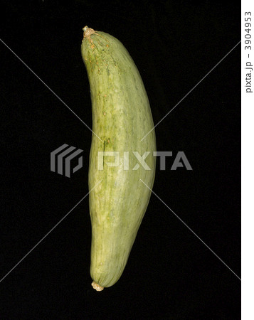 かぼちゃ 3904953