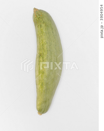 かぼちゃ 3904954