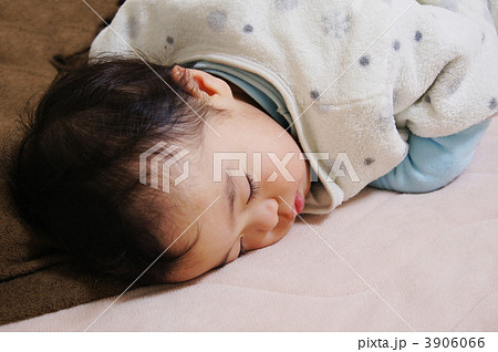 幸せそうな寝顔 幸せそうな寝顔 3906066