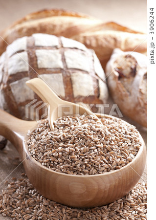 玄麦 玄麦 3906244