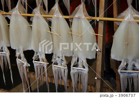 イカの天日干し イカの天日干し 3906737