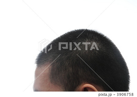 坊主頭(五分刈り) 坊主頭(五分刈り) 3906758