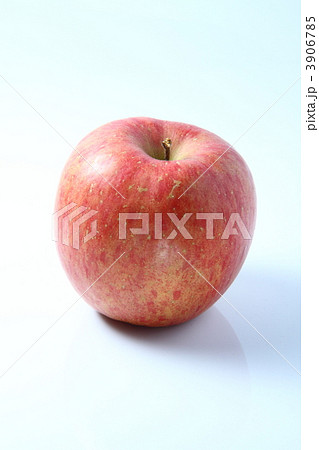 林檎 3906785