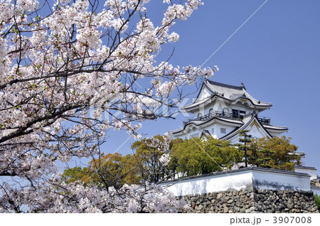 岸和田城 3907008