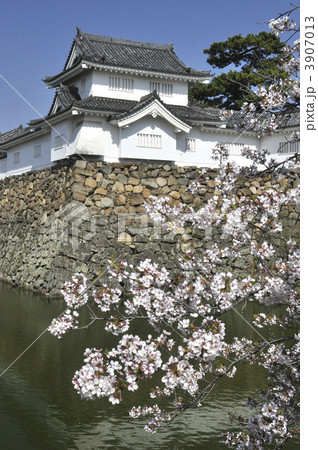 岸和田城 3907013